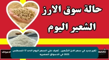 تغير جديد في سعر الأرز الشعير.. تعرف على السعر اليوم الأحد 17 أغسطس 2025 في الأسواق المصرية